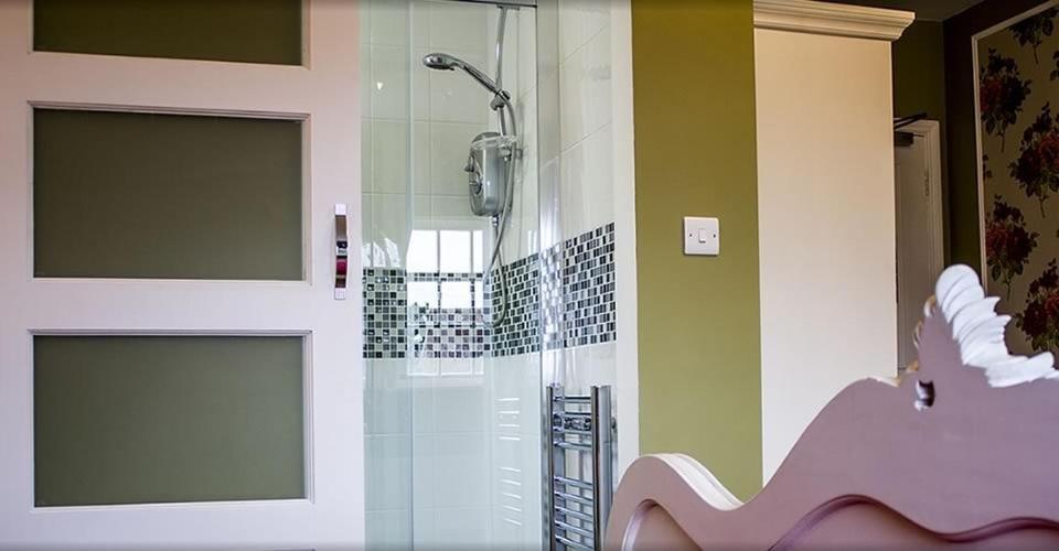 The Falcon Hotel 3*